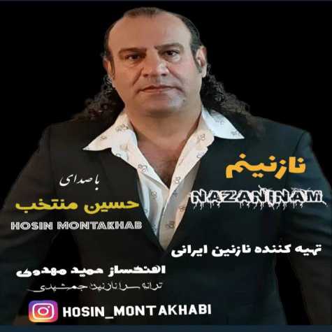 دانلود آهنگ حسین منتخب نازنینم دانلود آهنگ حسین منتخب نازنینم