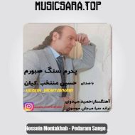 دانلود آهنگ حسین منتخب پدرم سنگ صبورم